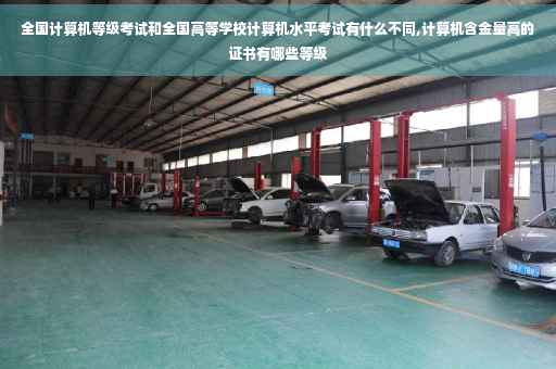 全国计算机等级考试和全国高等学校计算机水平考试有什么不同,计算机含金量高的证书有哪些等级