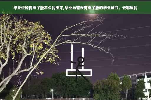 毕业证原件电子版怎么找出来,毕业后有没有电子版的毕业证书，去哪里找