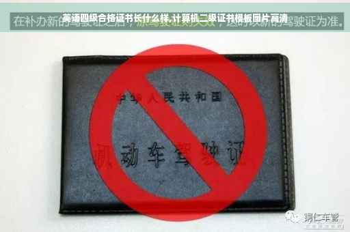 英语四级合格证书长什么样,计算机二级证书模板图片高清