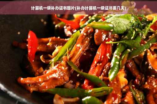 计算机一级补办证书图片(补办计算机一级证书要几天)