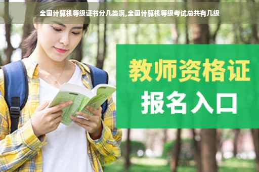 全国计算机等级证书分几类啊,全国计算机等级考试总共有几级 全国计算机等级证书分几类啊,全国计算机等级考试总共有几级