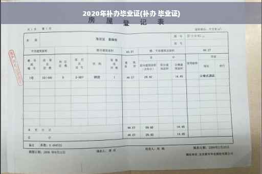 2020年补办毕业证(补办 毕业证)
