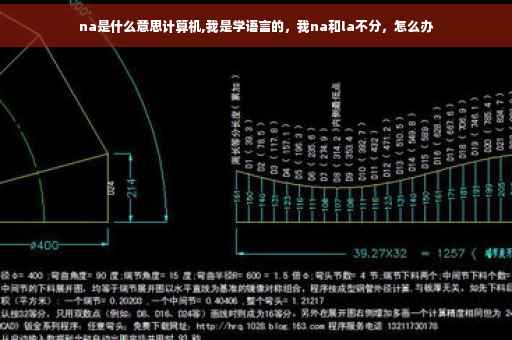 na是什么意思计算机,我是学语言的，我na和la不分，怎么办