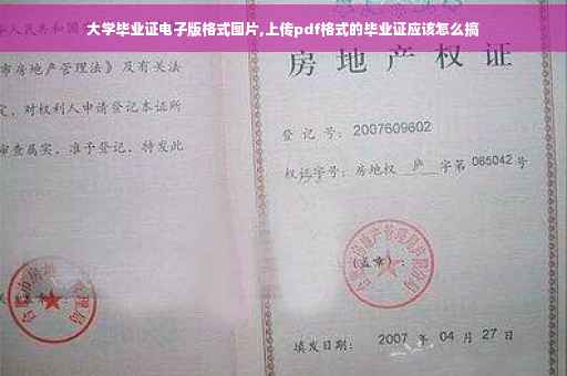 大学毕业证电子版格式图片,上传pdf格式的毕业证应该怎么搞