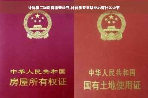 计算机二级都有哪些证书,计算机专业毕业后有什么证书