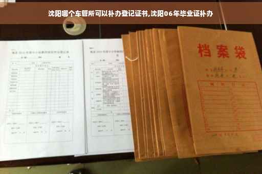 沈阳哪个车管所可以补办登记证书,沈阳06年毕业证补办