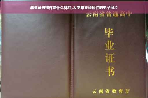 毕业证扫描件是什么样的,大学毕业证原件的电子图片