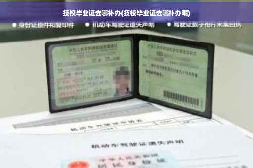 技校毕业证去哪补办(技校毕业证去哪补办呢)