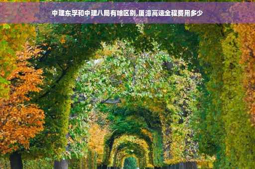 中建东孚和中建八局有啥区别,厦漳高速全程费用多少