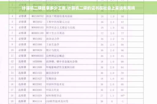 计算机二级能拿多少工资,计算机二级的证书在社会上来说有用吗