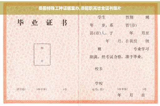 岳阳特殊工种证哪里办,岳阳职高毕业证书图片