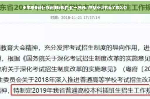 小学毕业证补办要钱吗现在,初一报到小学毕业证书丢了怎么办