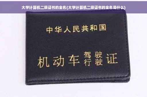 大学计算机二级证书的全名(大学计算机二级证书的全名是什么)