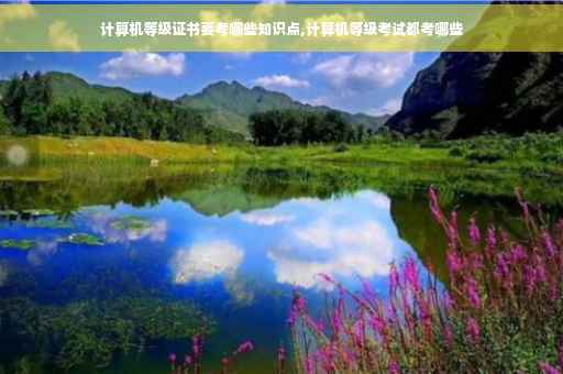 计算机等级证书要考哪些知识点,计算机等级考试都考哪些