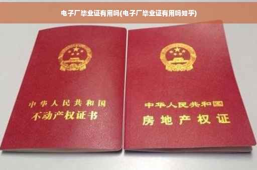 电子厂毕业证有用吗(电子厂毕业证有用吗知乎)