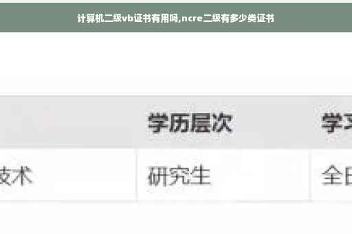 计算机二级vb证书有用吗,ncre二级有多少类证书