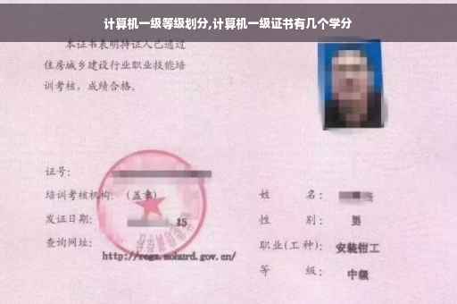 计算机一级等级划分,计算机一级证书有几个学分