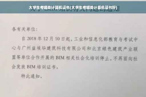 大学生考哪类计算机证书(大学生考哪类计算机证书好)