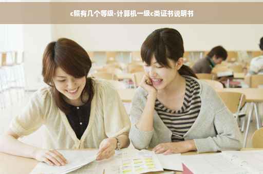 c照有几个等级-计算机一级c类证书说明书