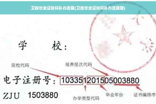 卫校毕业证如何补办流程(卫校毕业证如何补办流程图)