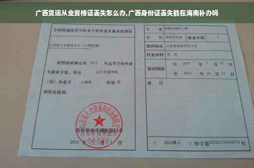 广西货运从业资格证丢失怎么办,广西身份证丢失能在海南补办吗