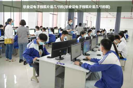 毕业证电子档照片是几寸的(毕业证电子档照片是几寸的啊)