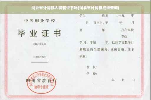 河北省计算机大赛有证书吗(河北省计算机成绩查询)