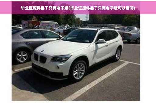 毕业证原件丢了只有电子版(毕业证原件丢了只有电子版可以用吗)