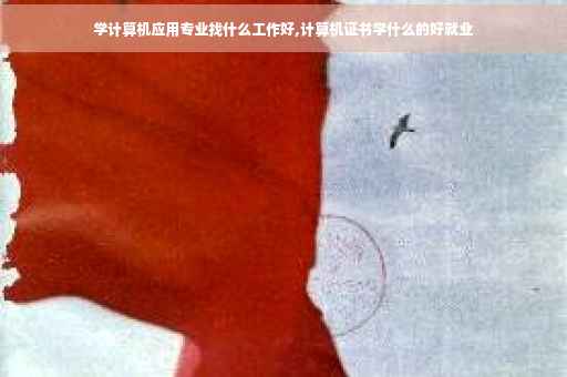 学计算机应用专业找什么工作好,计算机证书学什么的好就业