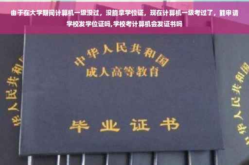 由于在大学期间计算机一级没过，没能拿学位证，现在计算机一级考过了，能申请学校发学位证吗,学校考计算机会发证书吗