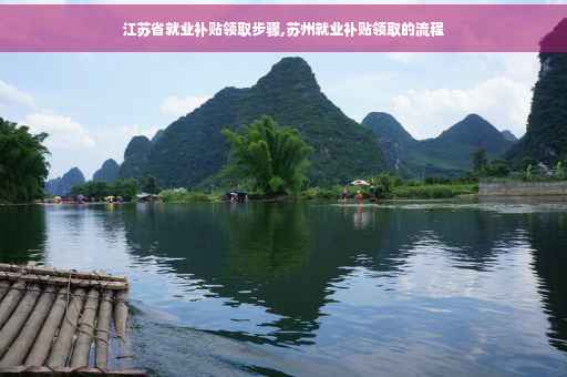 江苏省就业补贴领取步骤,苏州就业补贴领取的流程