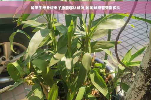 留学生毕业证电子版能够认证吗,回国证明有效期多久