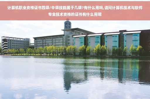 计算机职业资格证书四级/中级技能属于几级?有什么用吗,请问计算机技术与软件专业技术资格的证书有什么用呢