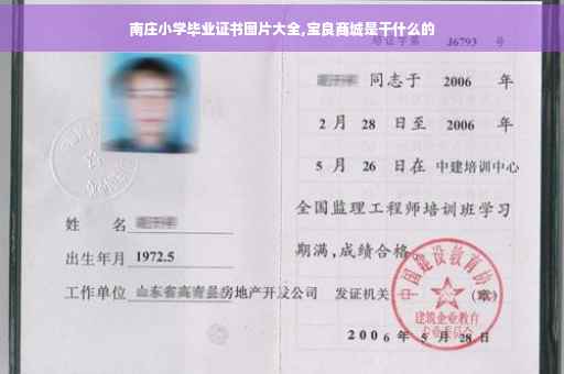 南庄小学毕业证书图片大全,宝良商城是干什么的