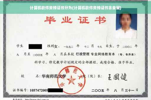 计算机软件资格证书分为(计算机软件资格证书含金量)