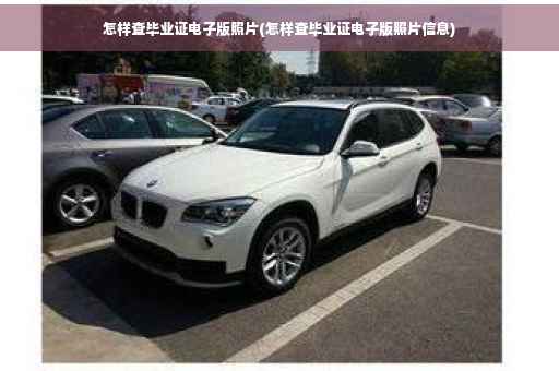 怎样查毕业证电子版照片(怎样查毕业证电子版照片信息)