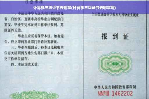 计算机三级证书去哪拿(计算机三级证书去哪拿啊)