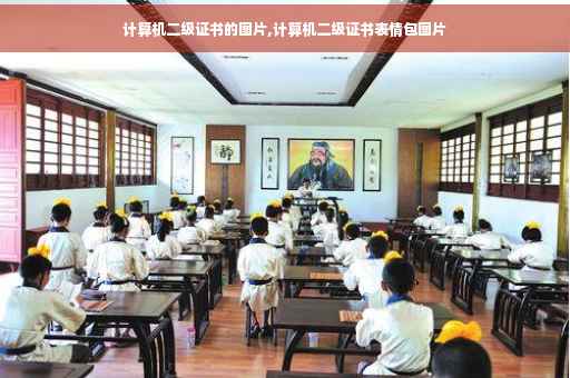 计算机二级证书的图片,计算机二级证书表情包图片