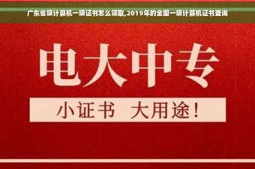 广东省级计算机一级证书怎么领取,2019年的全国一级计算机证书查询