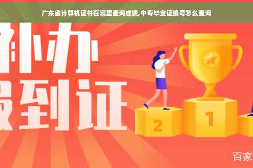 广东省计算机证书在哪里查询成绩,中专毕业证编号怎么查询