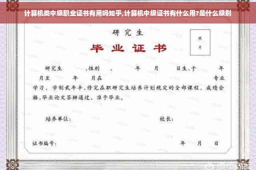 计算机类中级职业证书有用吗知乎,计算机中级证书有什么用?是什么级别