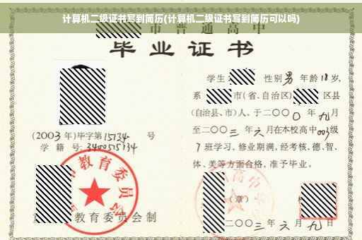 计算机二级证书写到简历(计算机二级证书写到简历可以吗)