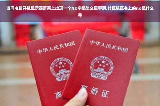 请问电脑开机显示器屏幕上出现一个NO字是怎么回事啊,计算机证书上的no是什么号