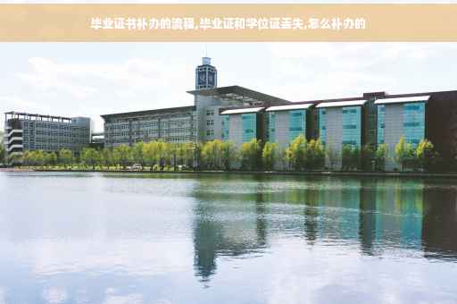 毕业证书补办的流程,毕业证和学位证丢失,怎么补办的