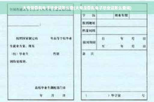 大专是否有电子毕业证怎么查(大专是否有电子毕业证怎么查询)