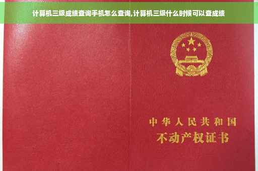 计算机三级成绩查询手机怎么查询,计算机三级什么时候可以查成绩