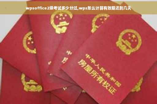 wpsoffice2级考试多少分过,wps怎么计算有效期还剩几天