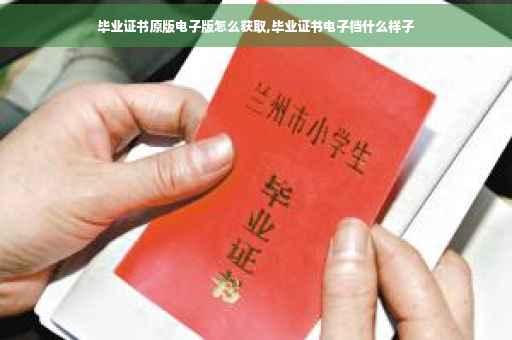 毕业证书原版电子版怎么获取,毕业证书电子档什么样子