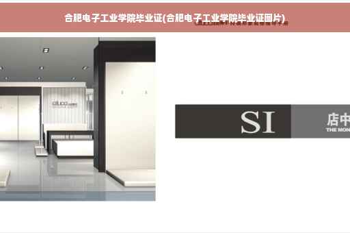 合肥电子工业学院毕业证(合肥电子工业学院毕业证图片)