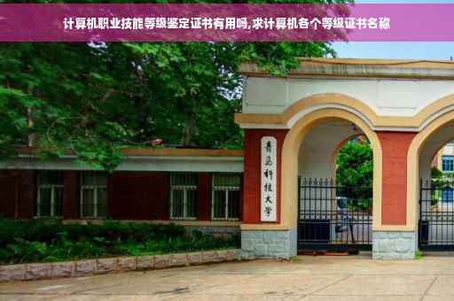 计算机职业技能等级鉴定证书有用吗,求计算机各个等级证书名称